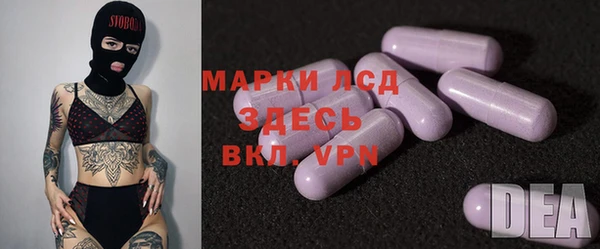индика Белокуриха