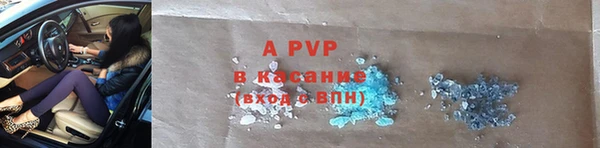индика Белокуриха