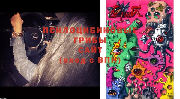 индика Белокуриха