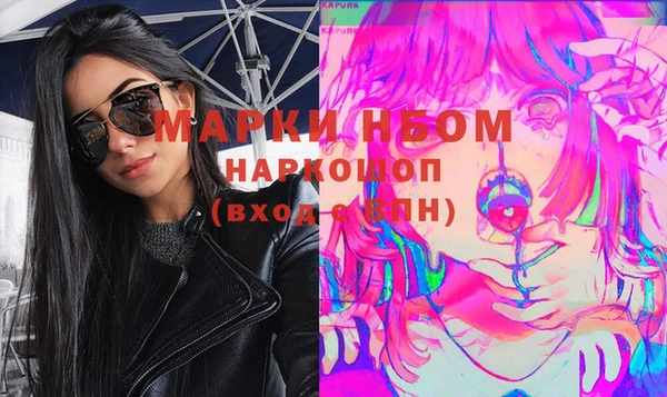 индика Белокуриха