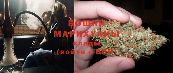 индика Белокуриха
