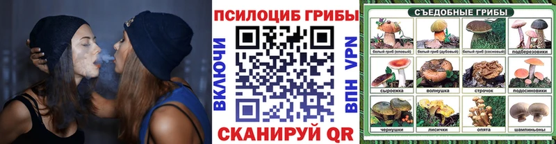 Купить где  Междуреченск  Галлюциногенные грибы Cubensis 